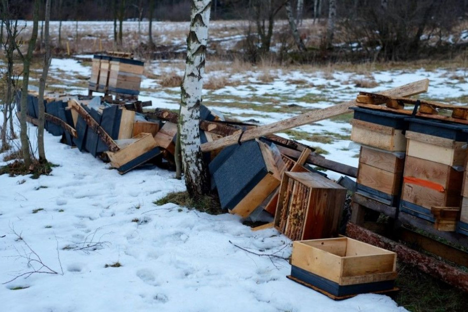 Nieznany sprawca zniszczył 15 uli w pasiece, Fot. Wielka Pszczoła