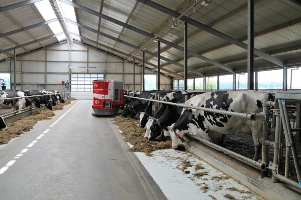 Białoruś planuje otwarcie 45 gospodarstw mlecznych w 2020 roku