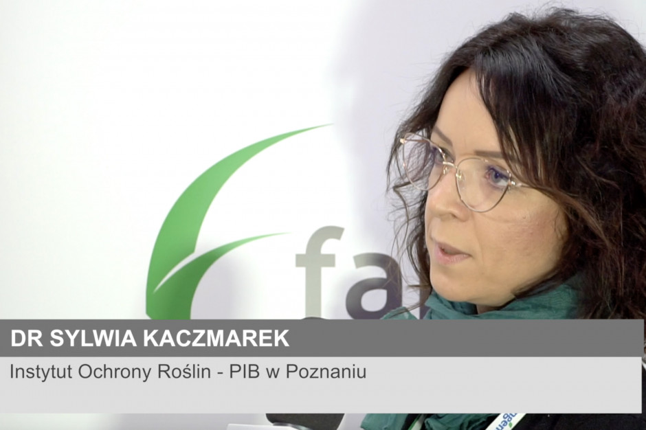 Dr Sylwia Kaczmarek z IOR-PIB w Poznaniu; Fot. farmer