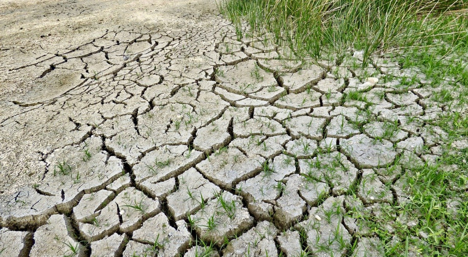 Australia spodziewa się z powodu suszy 66 proc. spadku produkcji roślin jarych do 878 tys. ton; Fot.Pixabay.com Australia: Niższa prognoza produkcji roślinnej