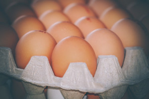 Podejrzenie skandalu z jajami w Austrii