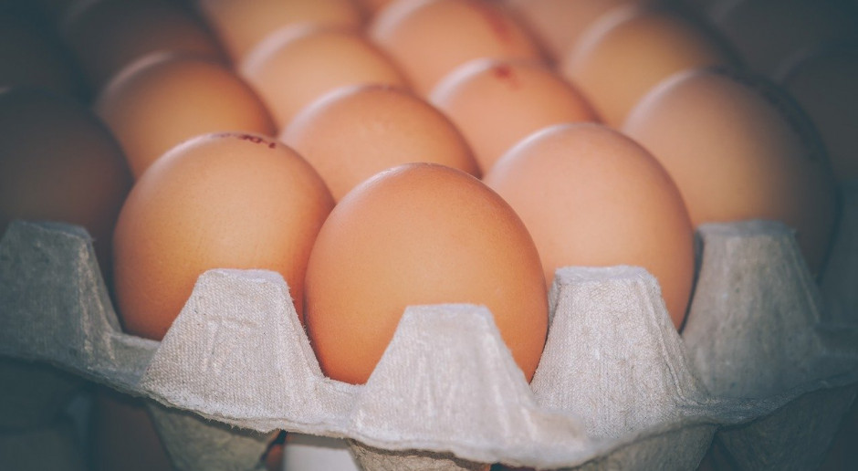 W Austrii podejrzewa się, że firma zajmująca się przetwarzaniem jaj stosowała zepsute jaja do produkcji mieszanki jajecznej; Fot. pixabay.com Podejrzenie skandalu z jajami w Austrii
