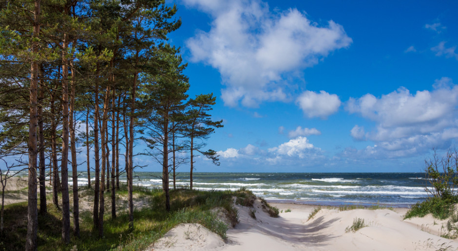 Fot. Shutterstock Do 31 marca nabór na wsparcie projektów młodych mieszkańców regionu Bałtyku