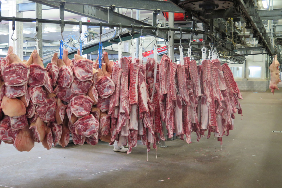W najbliższych miesiącach wielkość importu wieprzowiny przez Chiny będzie utrzymywała się na wysokim poziomie fot. I.Dyba