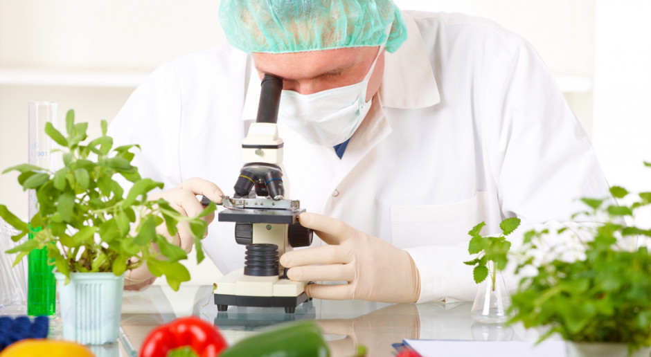 Jednym z priorytetów są rozwiązania, które pozwolą zastąpić białko zwierzęce zastępczymi proteinami, fot. Shutterstock 40 mln zł ze środków UE na innowacje m.in w branżę rolno-spożywczą