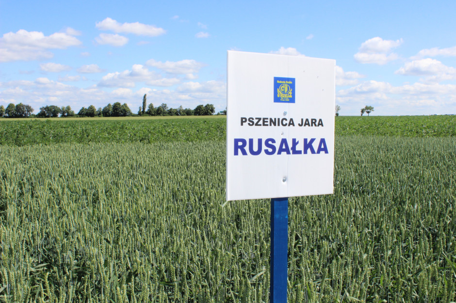 Odmiana Rusałka odznacza się dużą elastycznością siedliskową, stąd zalecana jest do uprawy aż w 15 województwach
