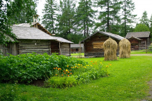 Finlandia: Gospodarstw coraz mniej a właściciele coraz starsi