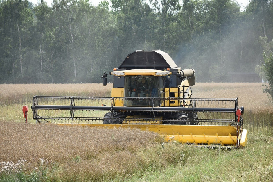 Według Strategié Grain, europejski obszar uprawy rzepaku pod zbiory w 2020 r. na początku marca wynosił tylko 5,49 miliona hektarów.; Fot.pixabay.com