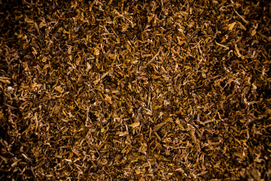 Nielegalny tytoń trafił do magazynu Wielkopolskiego Urzędu Celno-Skarbowego, fot. Shutterstock