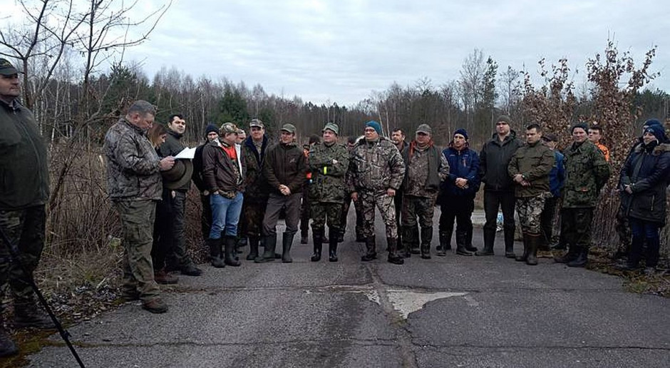 Blisko 300 osób przeszukiwało po raz kolejny lasy pod Tarnobrzegiem, Fot. PZŁ Tarnobrzeg Padłego dzika znaleziono w trakcie poszukiwań pod Tarnobrzegiem
