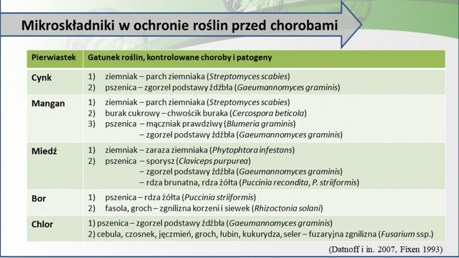 Źródło: IOR-PIB w Poznaniu