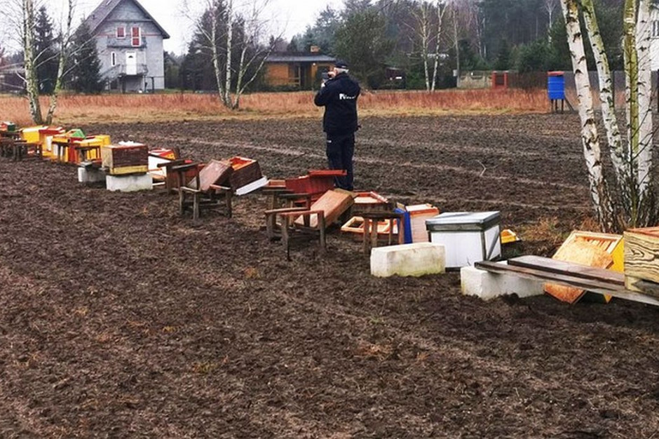 Wandal zniszczył 24 ule, skazując na śmierć pół miliona pszczół, Fot. Właściciel Pasieki