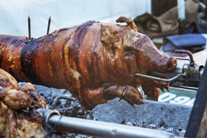 Czy u rolnika można kupić świnię na mięso? – część II