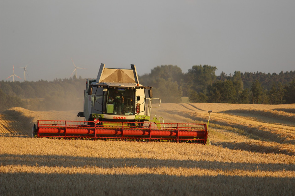 USDA: Prognoza globalnej produkcji zbóż paszowych w sezonie 2019/2020 jest praktycznie niezmieniona w porównaniu z ubiegłym miesiącem i wynosi 1,402,8 miliarda ton; Fot.Pixabay.com