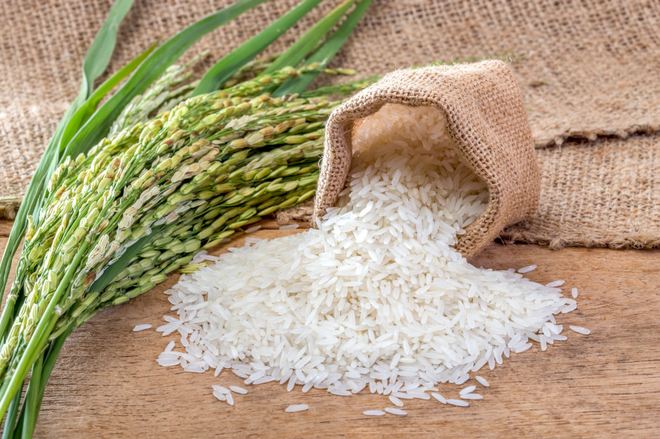 Azja:  eksport ryżu wstrzymany, ceny rosną