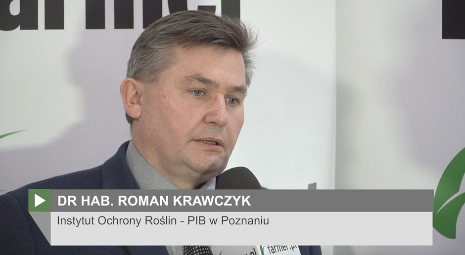 Dr hab. Roman Krawczyk z IOR-PIB; Fot. farmer Możliwości odchwaszczania strączkowych