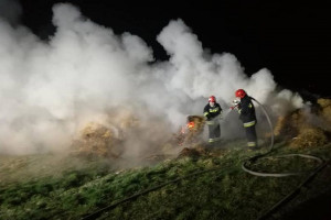 Plaga podpaleń nęka rolników i leśników