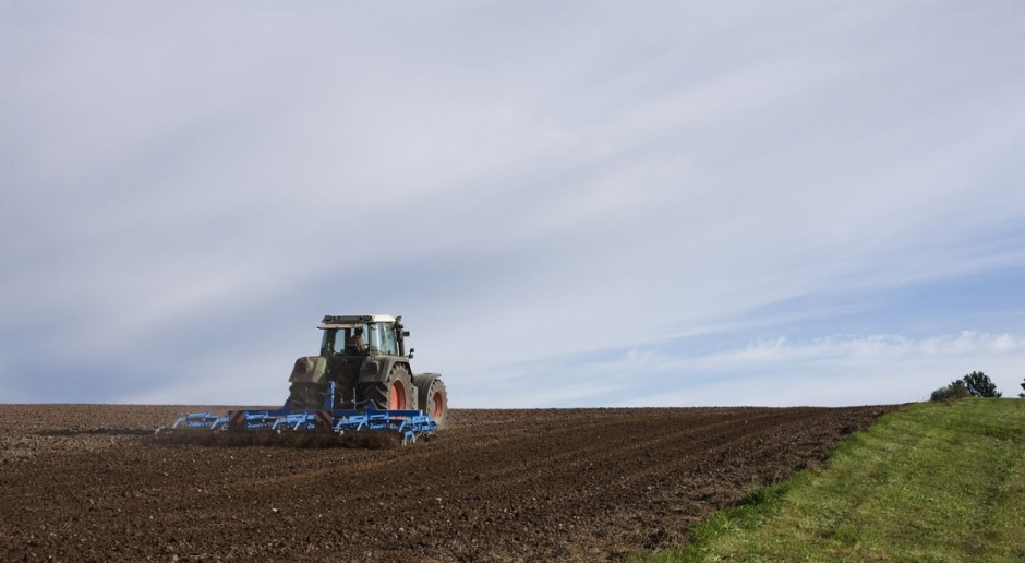Copa Cogeca apeluje o wsparcie i ochronę rolnictwa "w czasach zarazy", Foto: pixabay Copa-Cogeca: Konieczna ochrona unijnego rynku i wsparcie dla działalności rolniczej