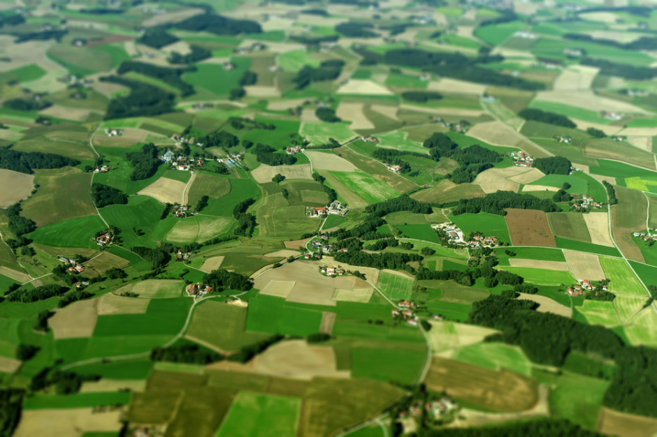 System satelitarnego monitorowania upraw rolnych - S2MUR - ma obejmować ok. 16 mln ha powierzchni upraw, 1,43 mln gospodarstw i 35 mln działek, fot. Shutterstock
