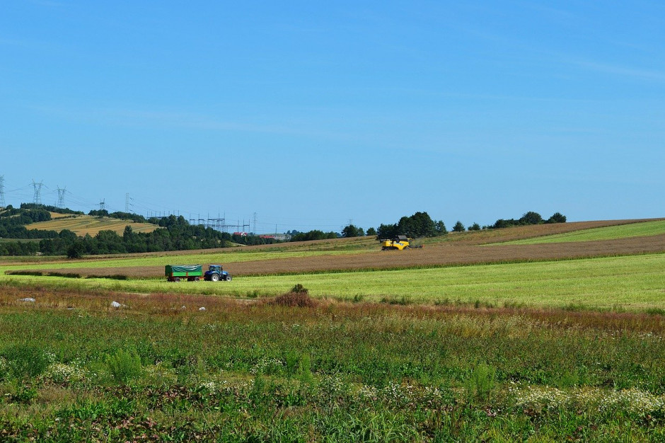 Światowa produkcja zbóż ogółem prognozowana jest na 2,175 mld ton; Fot.pixabay.com