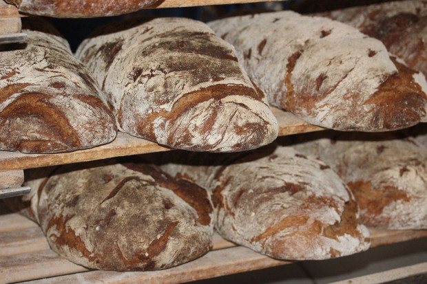 Egipt wprowadził stałe ceny na chleb