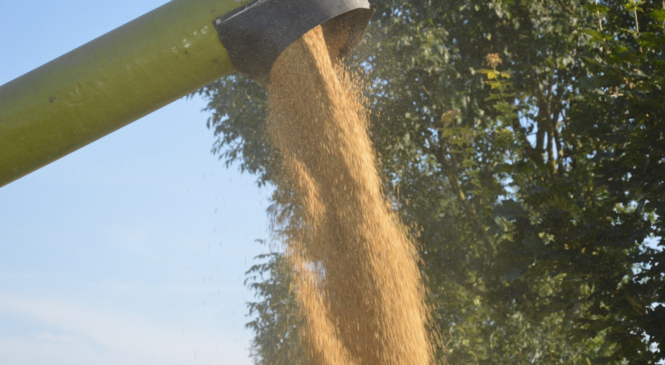fot. farmer.pl Powiększa się sieć magazynów autoryzowanych na Platformie Żywnościowej