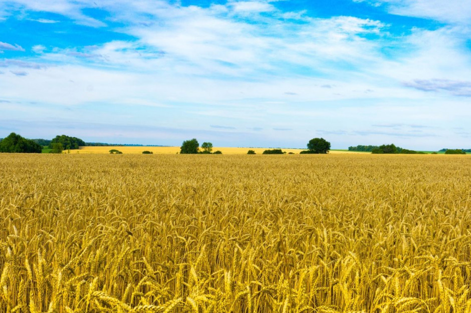 Ukraina uwolni obrót ziemia rolną, Foto: pixabay