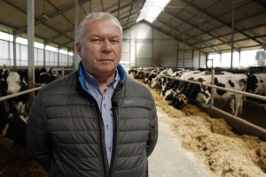 PFHBiPM: Potrzeba dobrych decyzji, bo będzie za późno dla producentów mleka