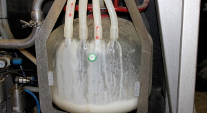 Czy wahania cen mleka i ograniczenie skupu wpłyną na produkcję?