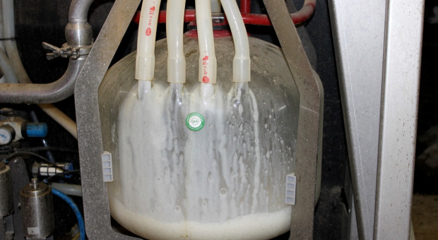 Mleko A2 szansą na wyższą opłacalność produkcji?