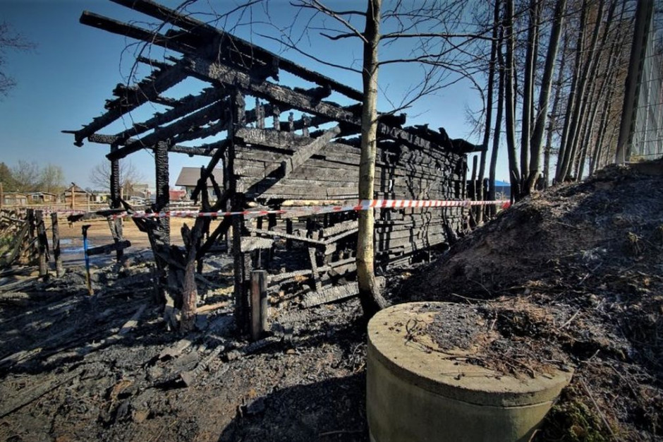 W drewnianej szopie spłonęło 13 zwierzatgospodarskich, Foto: Policja