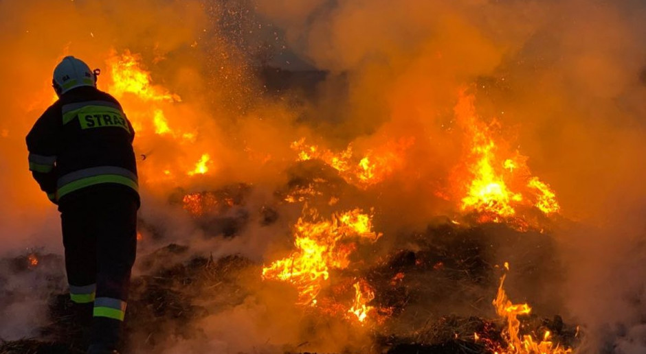 Susza i wypalanie traw zagraża polskim lasom, Foto: OSP Pleszew PSP: duże zagrożenie pożarowe w lasach