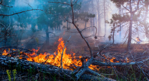 Pożary lasów w Kanadzie i Rosji