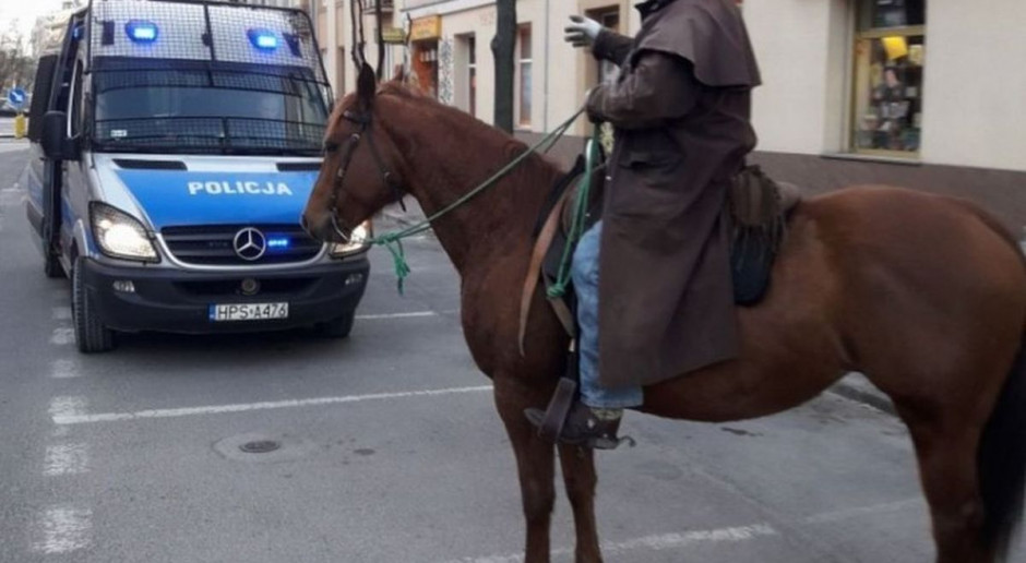 Jeździec dostał dwa mandaty - pijany pojechał konno do miasta