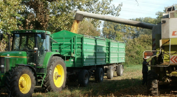 Ukraina: Nowa prognoza zbiorów i eksportu zbóż w sezonie 2020/2021