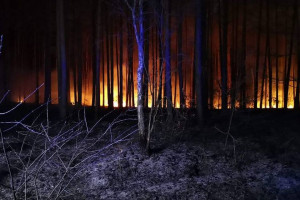 Palił się las pod Gorzowem Wielkopolskim