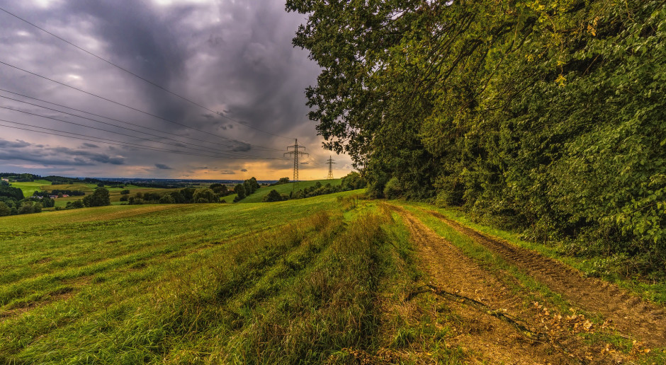 fot. FelixMittermeier z Pixabay Czy w lesie można uprawiać ziemię?