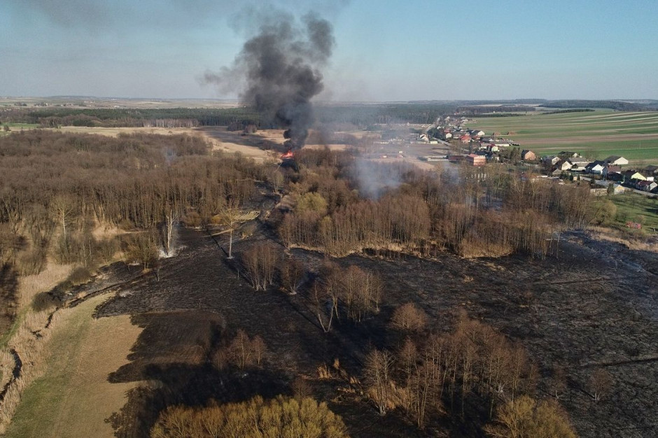 Spłonęło prawie 30 ha łąk i torfowisk, Fot. Nadleśnictwo Pińczów