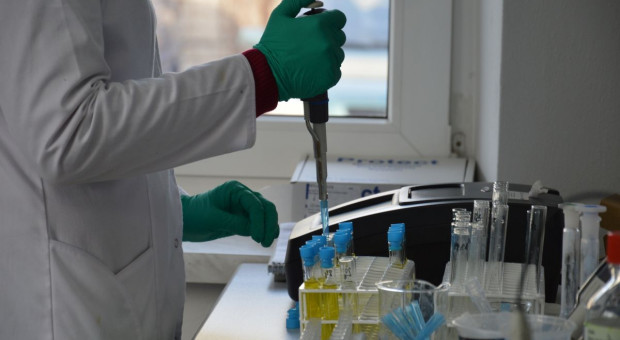 Pracownicy i doktoranci UPP pomagają WSSE w wykrywaniu koronawirusa