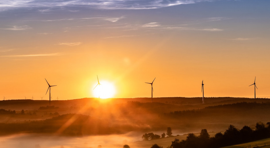 W Niemczech na początku br. największym dostawcą zielonej energii elektrycznej były lądowe turbiny wiatrowe o mocy prawie 43 mld kWh; Fot.pixabay.com Niemcy: Nowy rekord zielonej energii