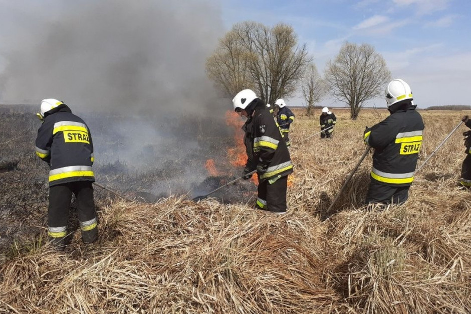 Strażacy przez 10 godzin walczyli z pożarem traw i trzcinowisk w rezerwacie, Fot. KP PSP Grajewo