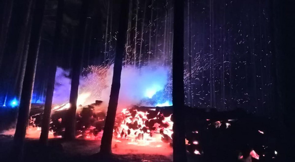 Strażacy przez 10 godzin gasili las i płonące drewno, Fot. OSP Kije Płonęło drewno składowane w lesie