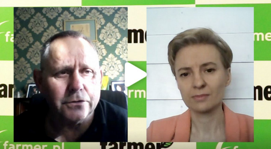 Rozmawiamy z Juliuszem Młodeckim, prezesem KZPRiRB o stanie upraw KZPRiRB: Straty w rzepaku z powodu niskich temperatur lokalne