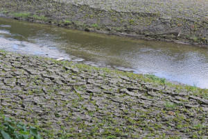 Podlaskie: Wody Polskie ogłaszają przetargi na inwestycje w ramach planu "Stop suszy"
