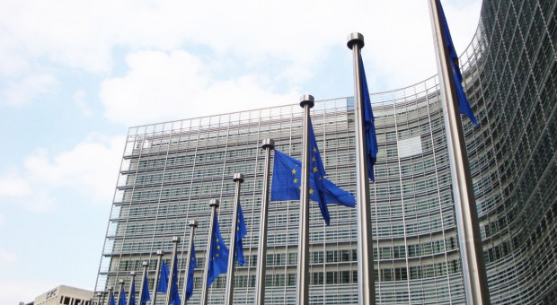 UE: Timmermans nie pozostawia wątpliwości, że KE nie zrezygnuje z Zielonego Ładu