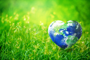 Dzień Ziemi - największe ekologiczne święto świata