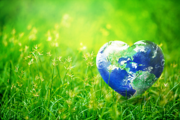 Dzień Ziemi - największe ekologiczne święto świata