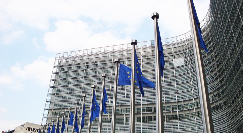 KE przedstawiła krótkoterminową prognozę rynków rolnych w 2020 r.;Fot.pixabay.com KE: Prognoza krótkoterminowa dla rynków rolnych UE w 2020 r.