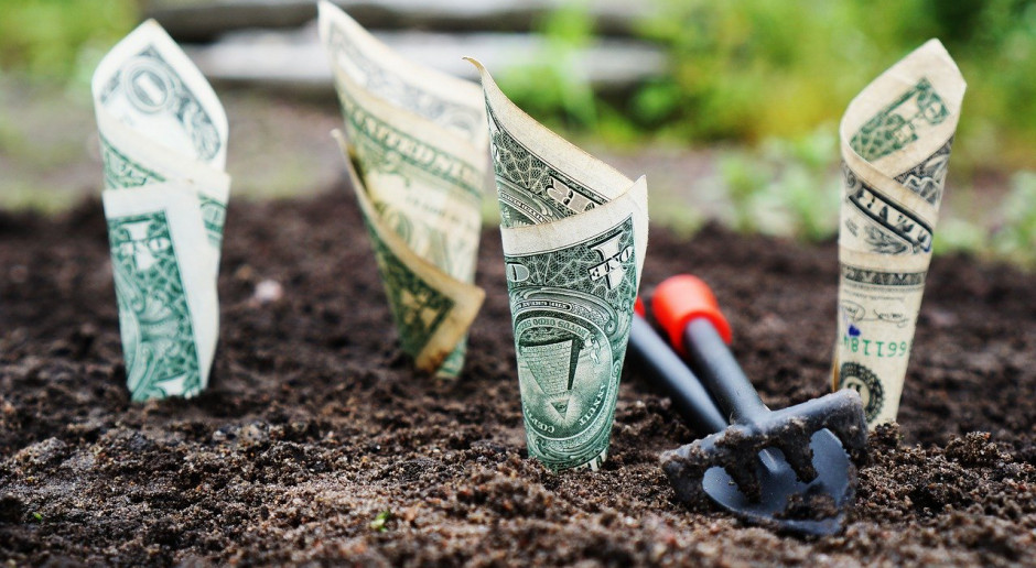 Dochód rolniczy netto farmerów amerykańskich w 2020 r. spadnie o około 20 mld dolarów; Fot.pixabay.com USA: Ponura perspektywa cen i dochodów rolniczych
