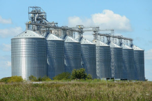 Giełdy krajowe: Rosną ceny zbóż